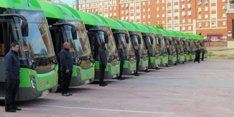 buses autobus