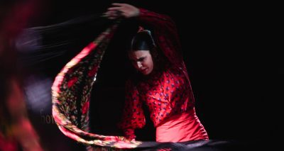 flamenco