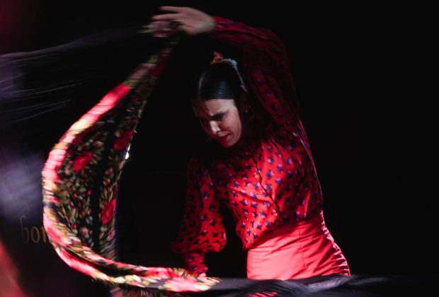 flamenco