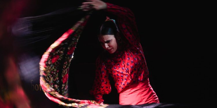 flamenco