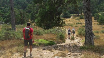Rutas Verdes