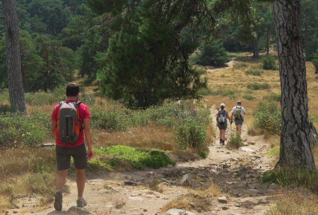 Rutas Verdes