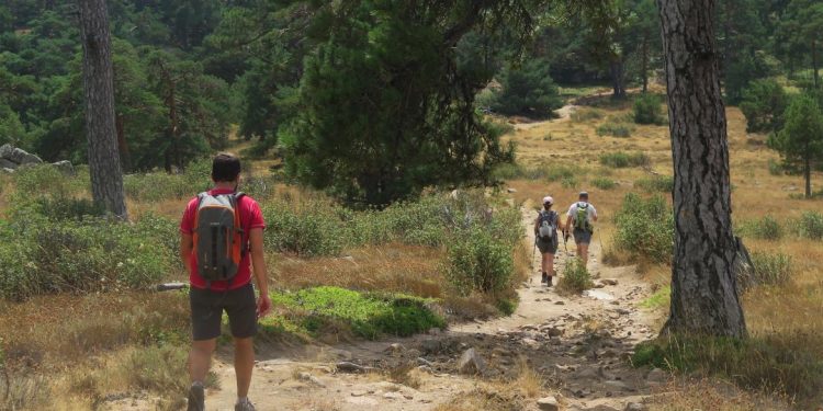 Rutas Verdes