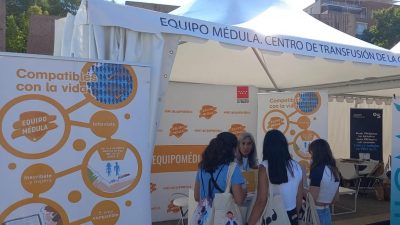 médula ósea