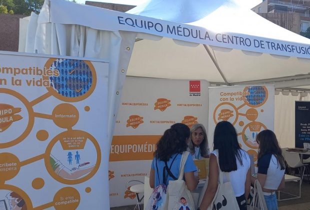médula ósea