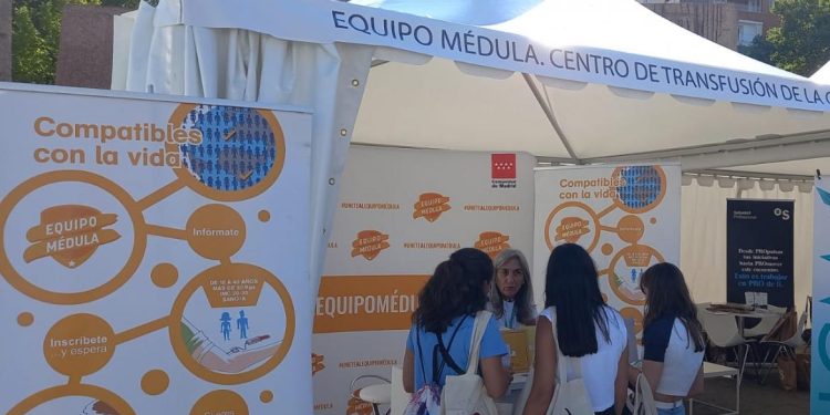 médula ósea