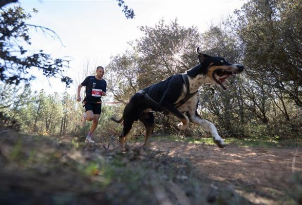 MUSHING DEPORTES INVIERNO PERROS