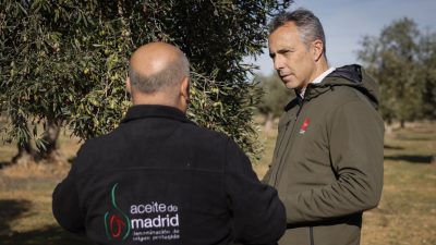 Aceite de Madrid