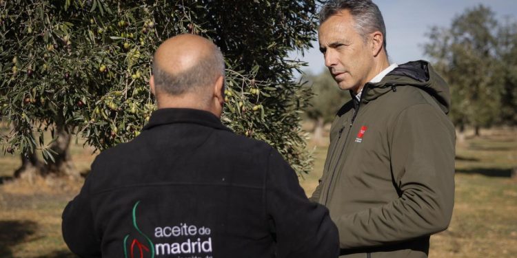 Aceite de Madrid