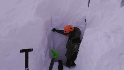 nieve