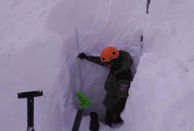 nieve