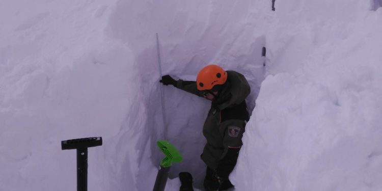 nieve