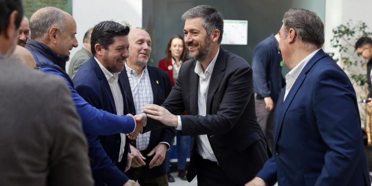 ayudas