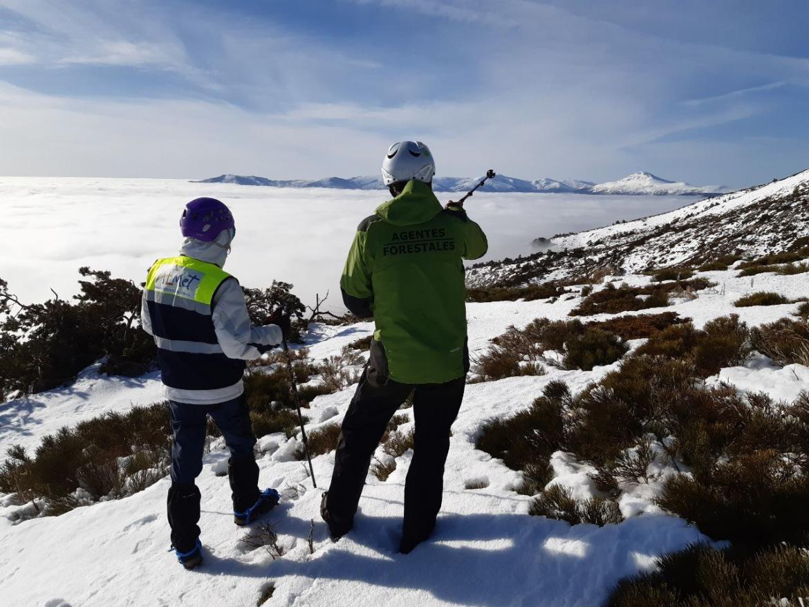 nieve
