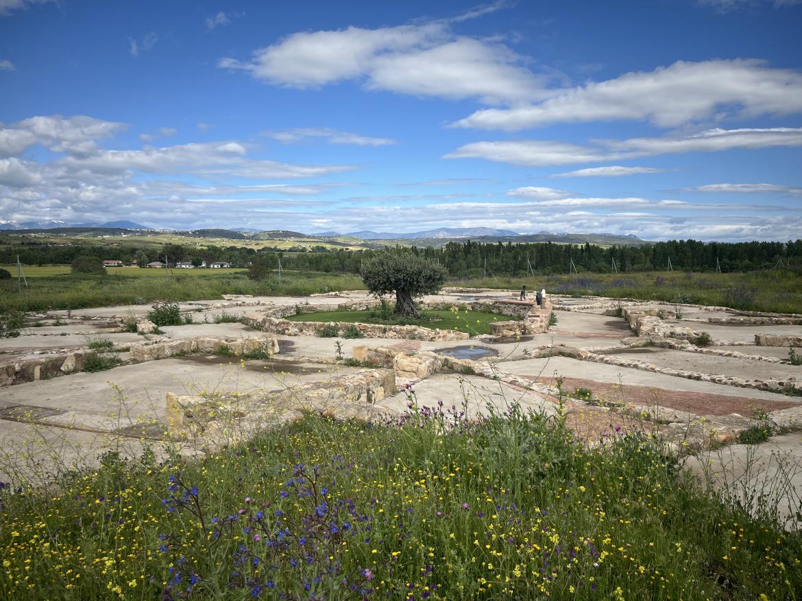 Valdetorres de Jarama