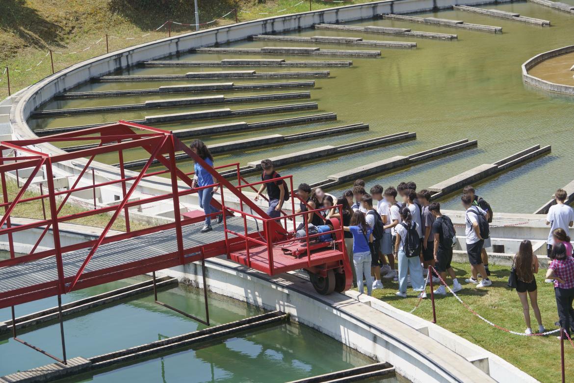 Fundación Canal