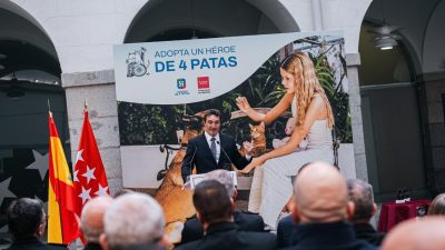 perros