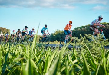 Shimano Sea Otter Europe