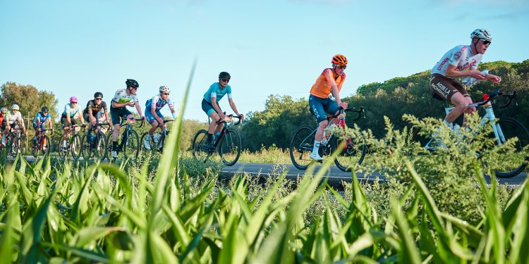 Shimano Sea Otter Europe
