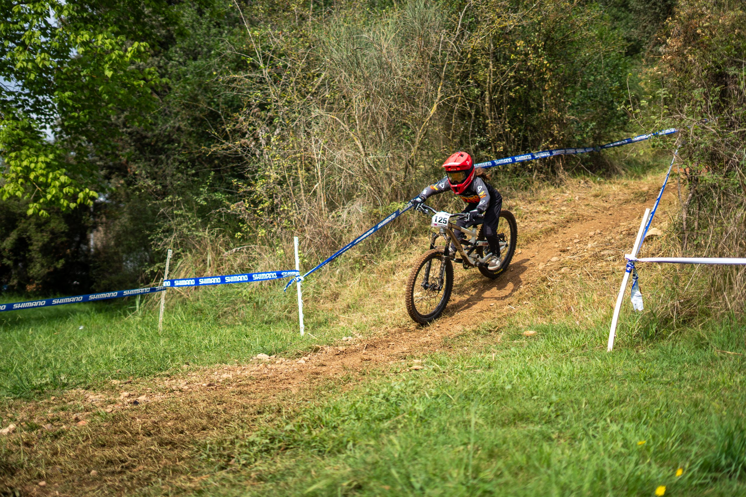 Shimano Sea Otter Europe