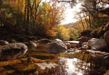 Premios de Medio Ambiente